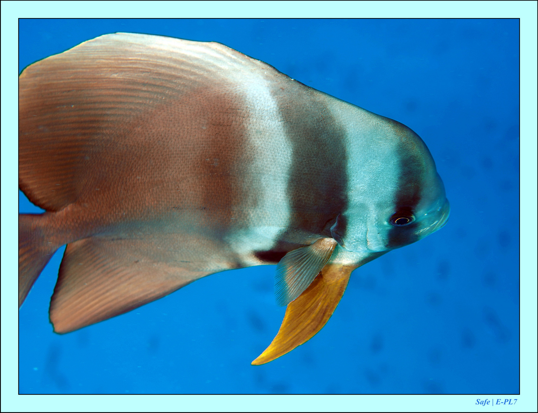 2023 - 07 - Sandies Bathala - 103